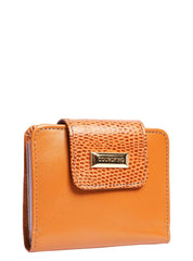 Carteira Feminina Clássica Couro Castor CAI-0923 - CS