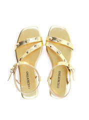 Rasteira Tira Lateral Enfeite Conchas - Ouro SDI-11938 - AU