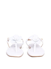 Rasteira de Dedo com Fivela e Flor - Branca SDI-11847 - BR